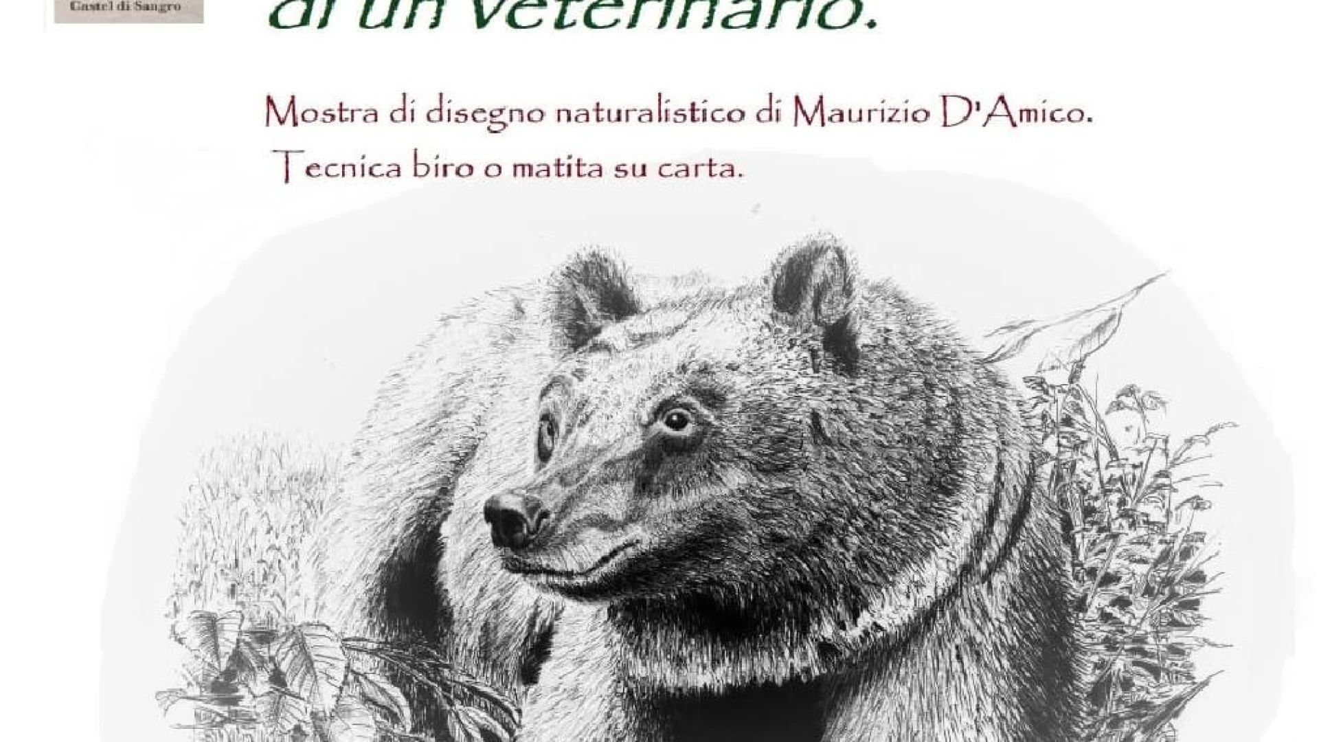 Castel Di Sangro: la Natura nei disegni di un veterinario. La mostra di Maurizio D’Amico alla Pinacoteca Patiniana.